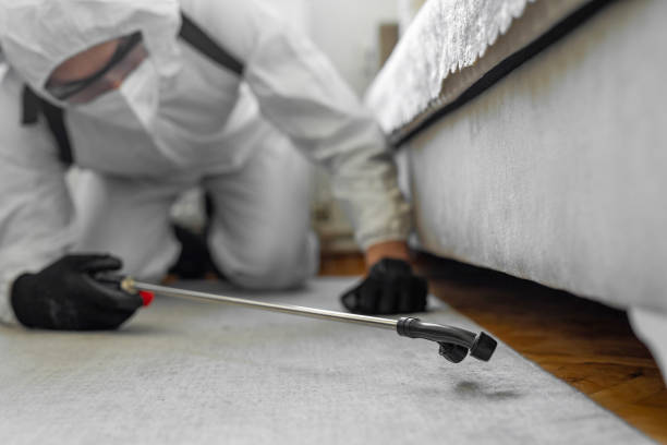 Professional Ant Control technician working in Merritt Park, NY